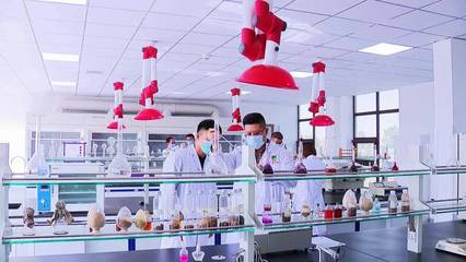 以十九屆六中全會精神為指引，加快推進科技創新，提升核心競爭力——聚焦生物飼料研發